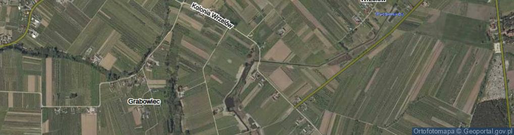 Zdjęcie satelitarne Kolonia Wrzelów ul.